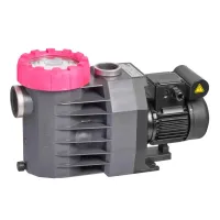 Pompa basenowa Speck BWT Eustostar II 200-M